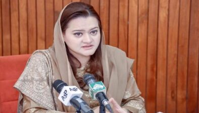 ’ن لیگ کے فوبیا میں عمران خان نے ہر وہ جھوٹا الزام لگایا جس سے پاکستان کو نقصان پہنچا‘