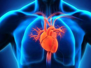 مصنوعی ذہانت نے ڈاکٹروں کی نظروں سے اوجھل قلبی امراض دریافت کرلیے