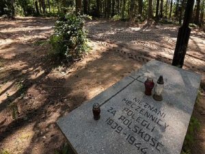 پولینڈ میں نازیوں کے ہاتھوں قتل ہونیوالے 8000 افراد کی اجتماعی قبریں دریافت