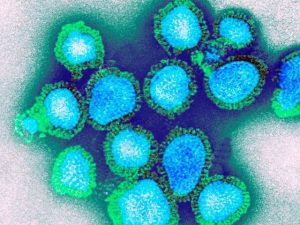 بھارت میں ایچ تھری این ٹو انفلوئنزا وائرس سے دو اموات